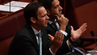 alex antic coalition vote
