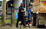 william tyrrell search
