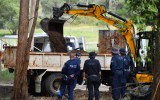 william tyrrell search