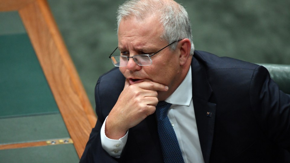 Morrison