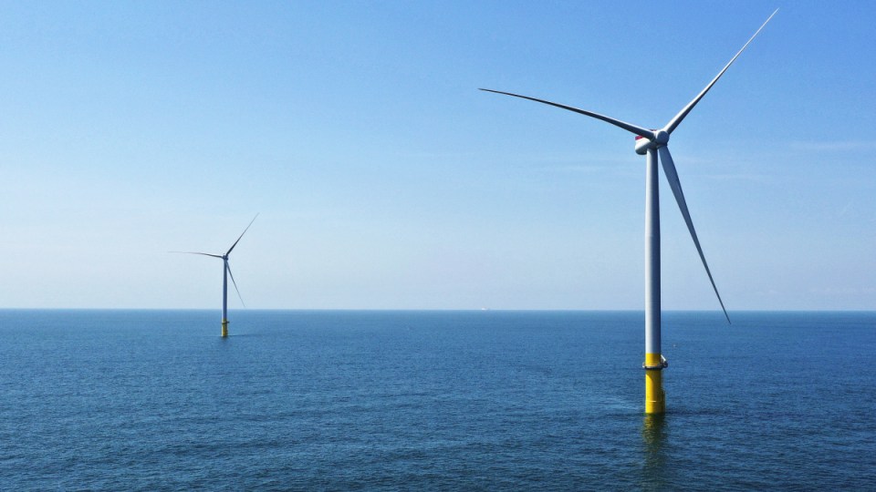 Vic offshore wind projects