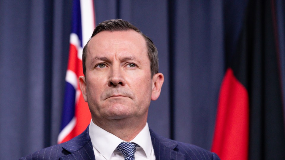 Mark McGowan peter dutton