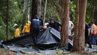 william tyrrell search