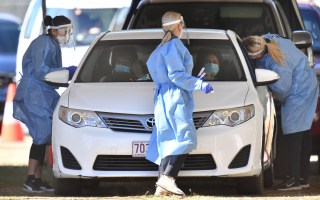 Qld PCR test