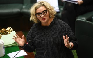 Vic MP quit