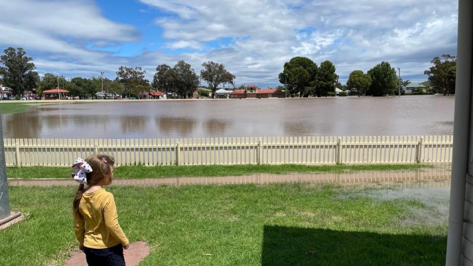 nsw floods upper hunter