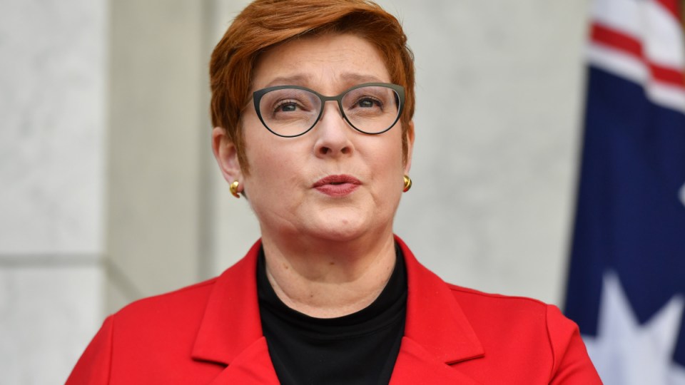 Marise Payne Robodebt
