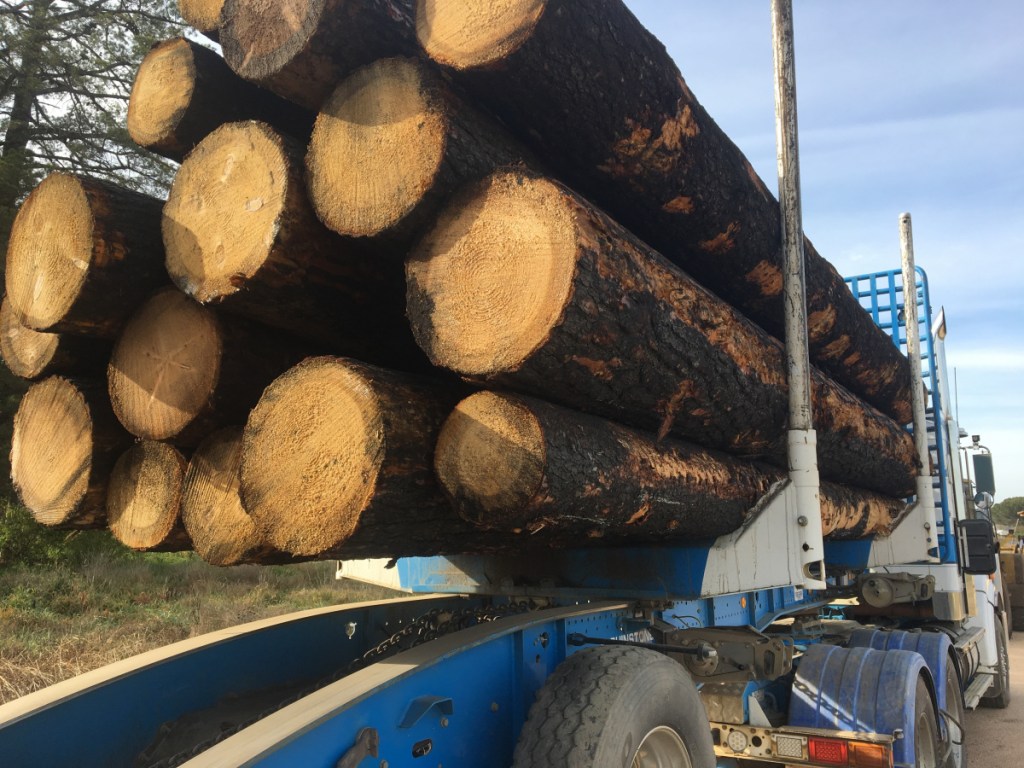 Logging