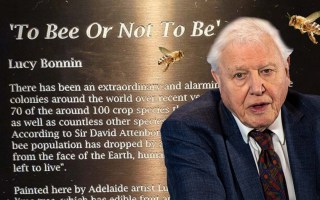 David Attenborough