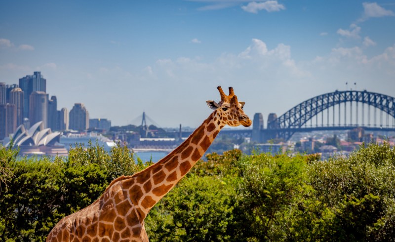 Taronga Zoo