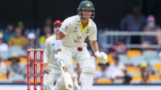 David Warner