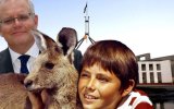 Tim Ferguson Kangaroo