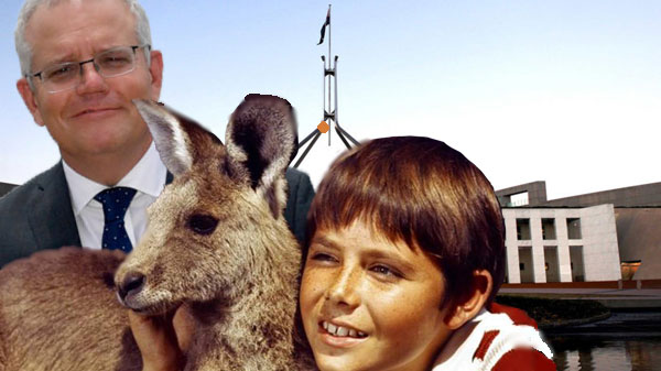 Tim Ferguson Kangaroo