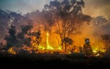 bushfire backburn backlog