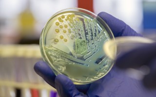 antibiotics pneumonia
