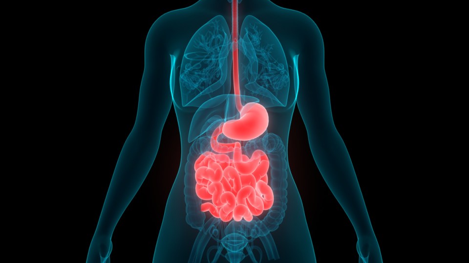 young people cancers