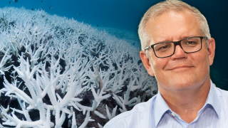 Great Barrier Reef