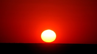 A rising indigenous population has been welcomed - but with reservations.