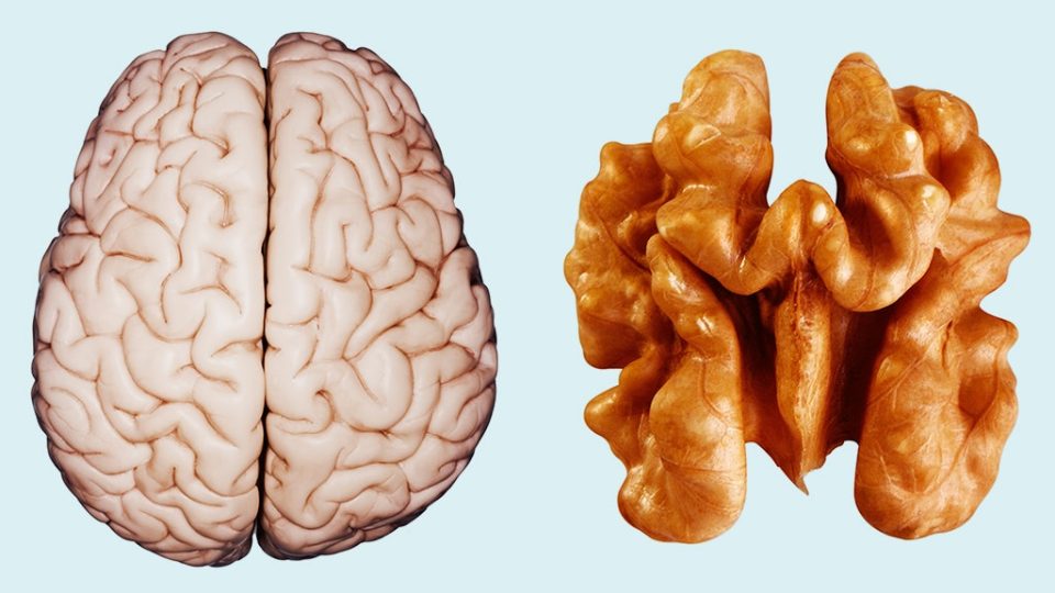 walnuts