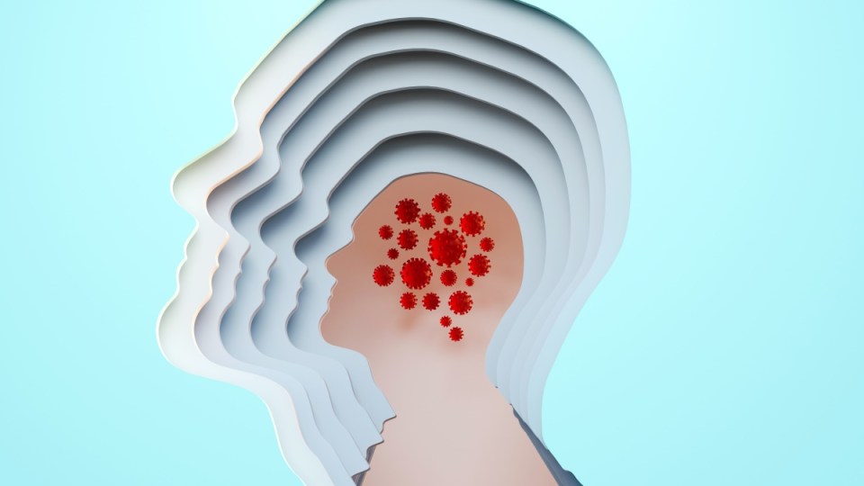 COVID-19 brain