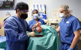pig heart transplant