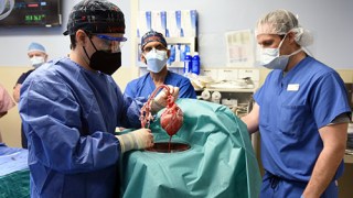 pig heart transplant