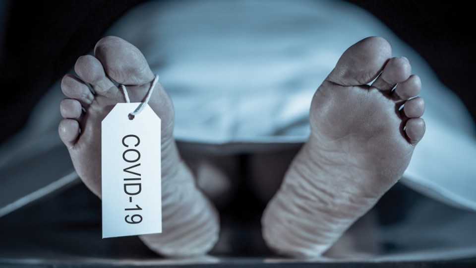 covid death toll