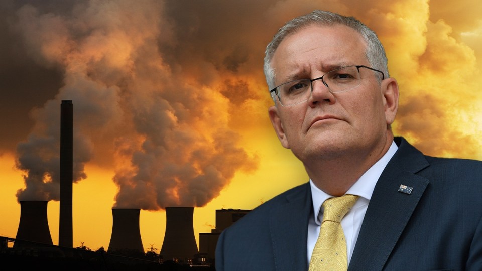 carbon levy