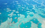 Great Barrier Reef bleaching