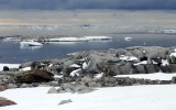 polar heatwaves