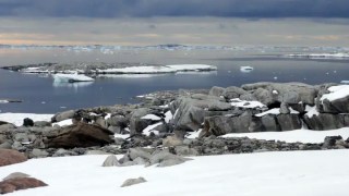 polar heatwaves