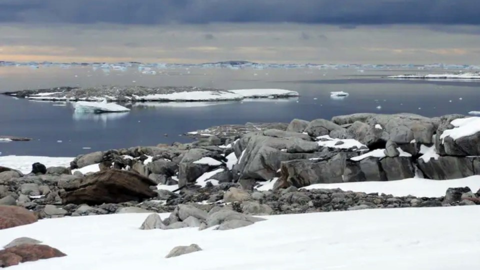polar heatwaves