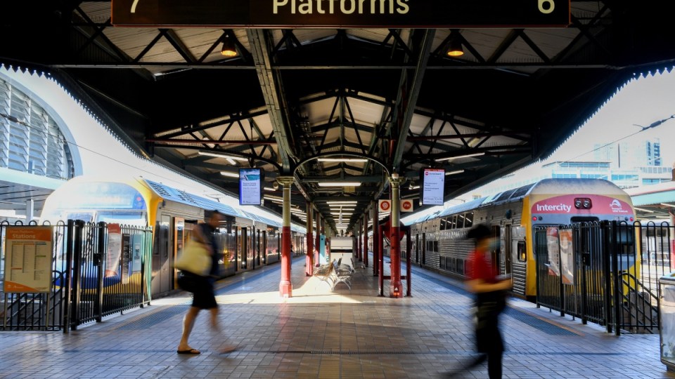 NSW trains