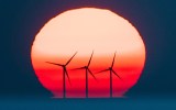 Australia now has the highest proportion of solar electricity generation of any major country.