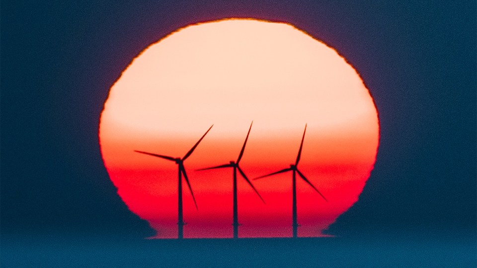 Australia now has the highest proportion of solar electricity generation of any major country.
