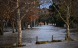man missing victoria floods