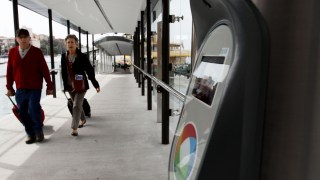 sydney free transport