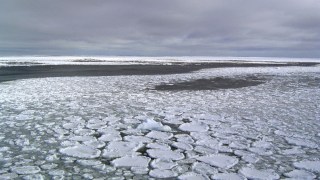 Antarctic