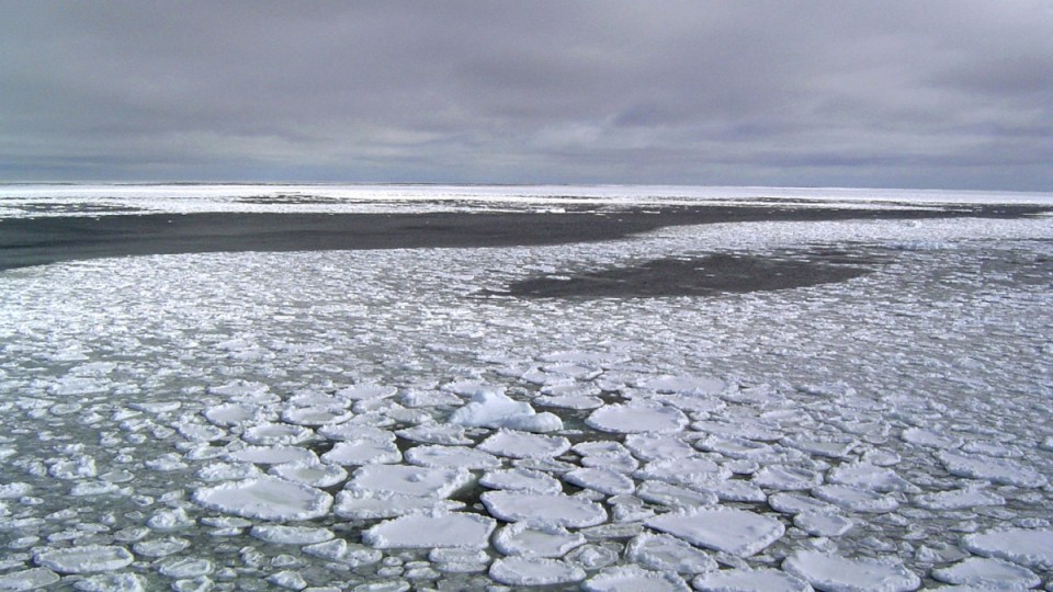 Antarctic