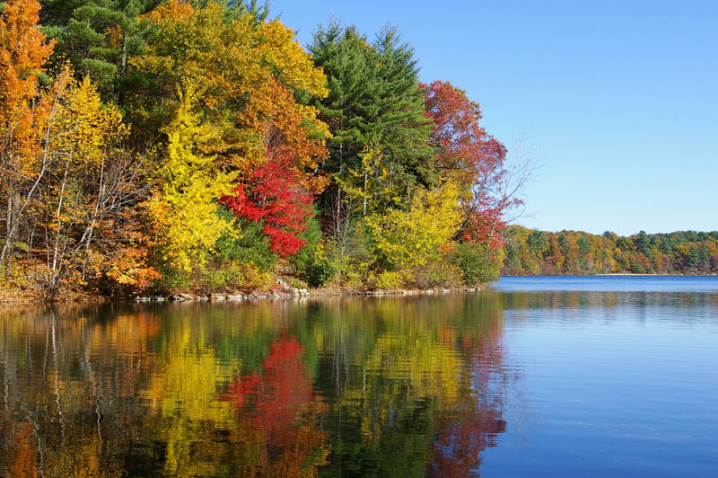 #vanlife - Walden Pond