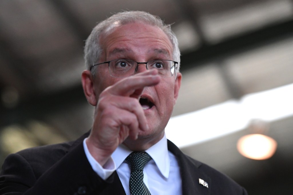 scott morrison lettuce