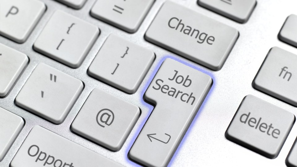 Job search