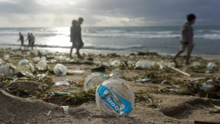 Some tourist hotspots have serious litter problems.