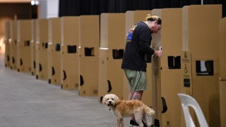 voting