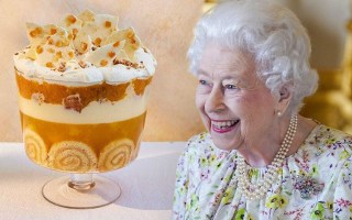 platinum pudding