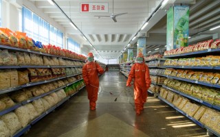 covid north korea