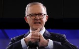 anthony albanese wages