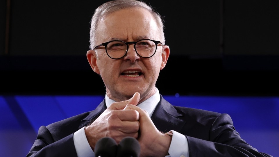 anthony albanese wages