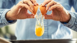 eggs