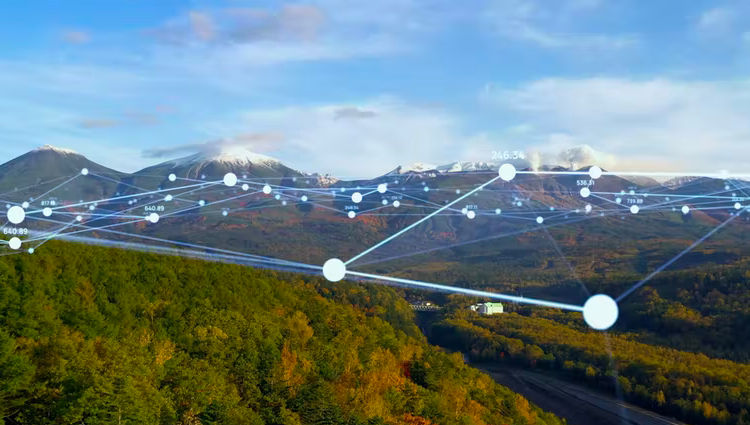 AI nature